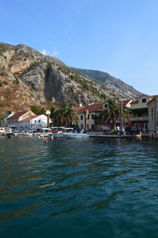 Apartments Qualitas Kotor Exteriör bild