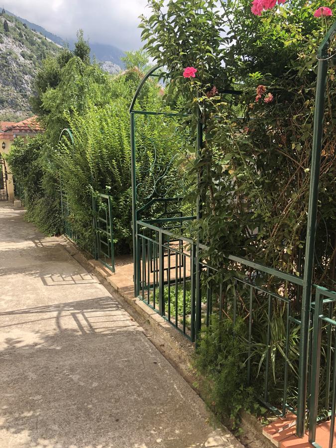 Apartments Qualitas Kotor Exteriör bild